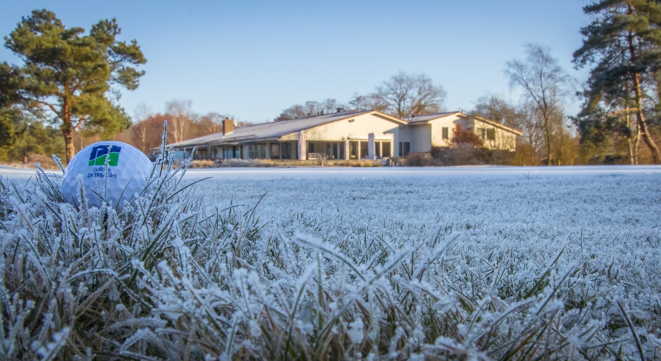 Crafting Captivating Headlines: Your awesome post title goes here 2016-12-05-winter-hoge-kleij-6-1